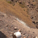 appareils scientifiques Santorin
